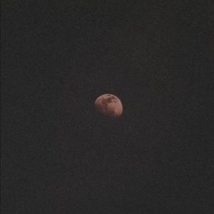 Meet your Posher, Caitlin